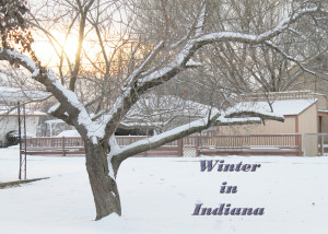 winter in indiana